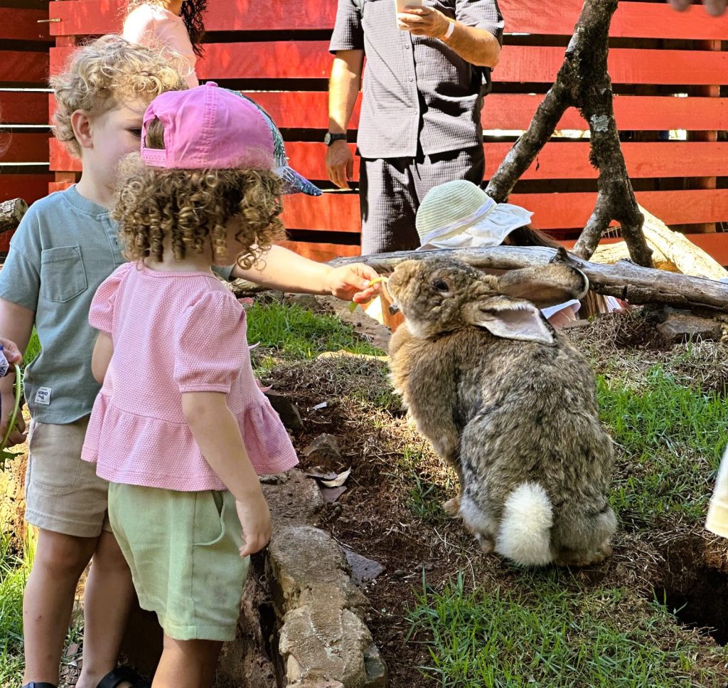 Descubra a Natureza com as Crianças: A Colônia de Férias Eco Aventureiros do Eco Park Foz