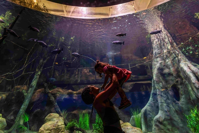 AquaFoz Prepara Programação Especial de Páscoa com Horário Estendido