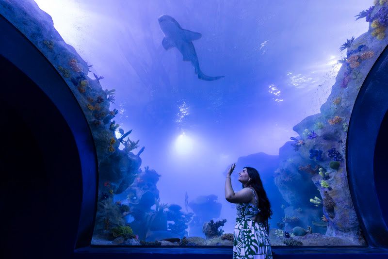 Feriado de 1º de Maio: AquaFoz amplia horário e reforça o turismo em Foz do Iguaçu