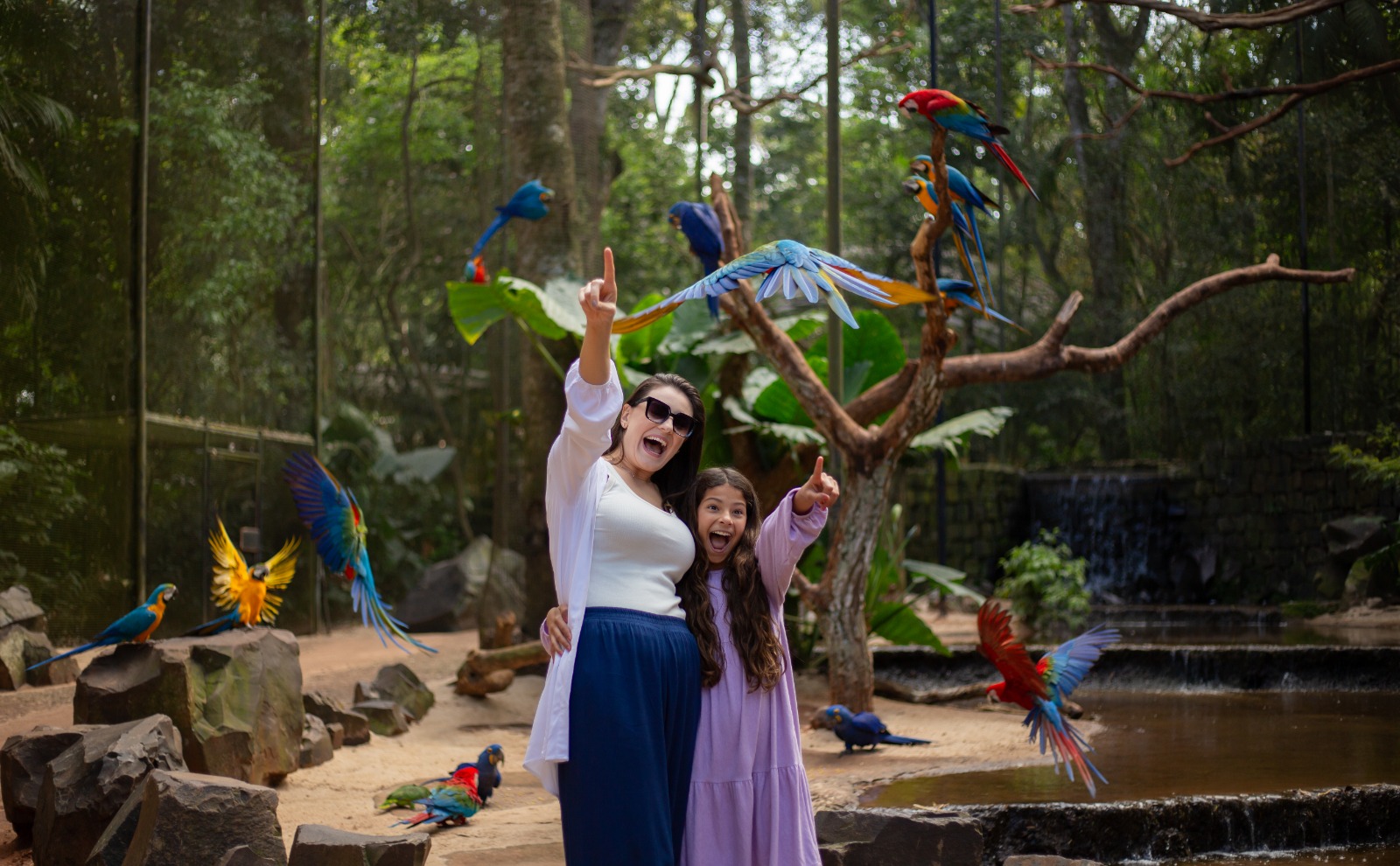 Parque das Aves supera expectativa de público no feriado com mais de 16 mil visitantes