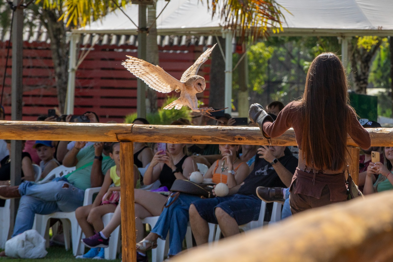 Eco Park Foz muda nome para Zoo Park Foz e anuncia promoção especial para moradores