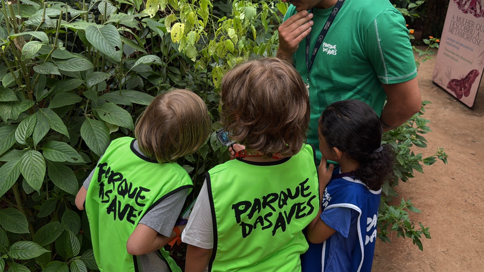Parque das Aves abre última semana de inscrições para Colônia de Férias com programação noturna inédita