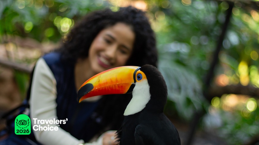 Parque das Aves recebe selo Travellers’ Choice 2026 e lidera ranking no TripAdvisor