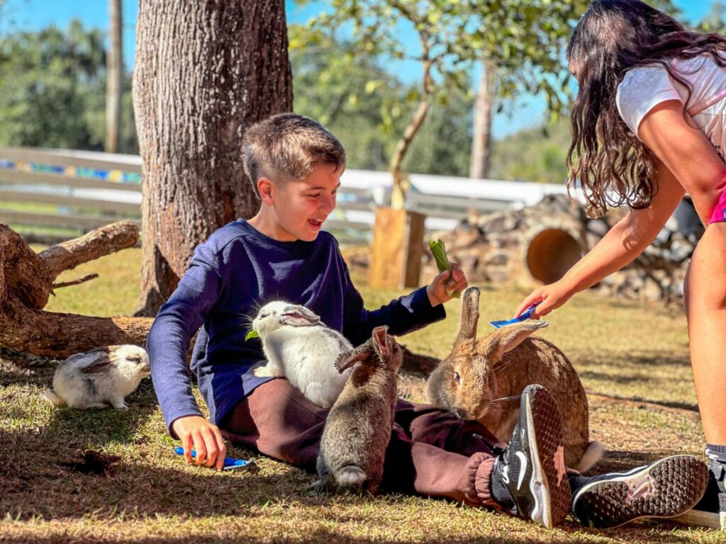 Zoo Park Foz prepara programação especial para o Dia das Crianças