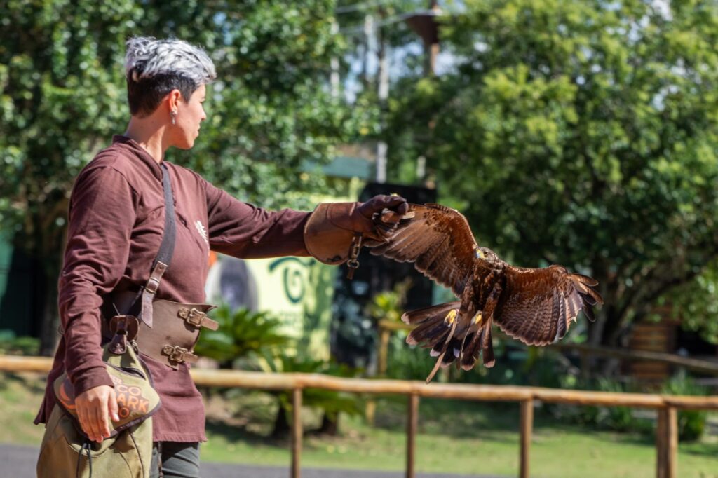 Dia das Crianças no Zoo Park Foz tem até 40% de desconto para moradores da região